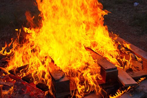 חי רוטל תשפ"ד 2024